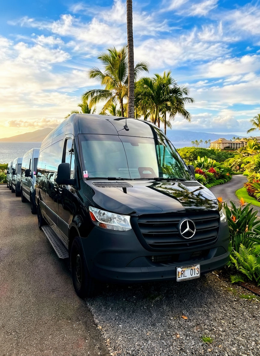Sprinter / Transit Van detail