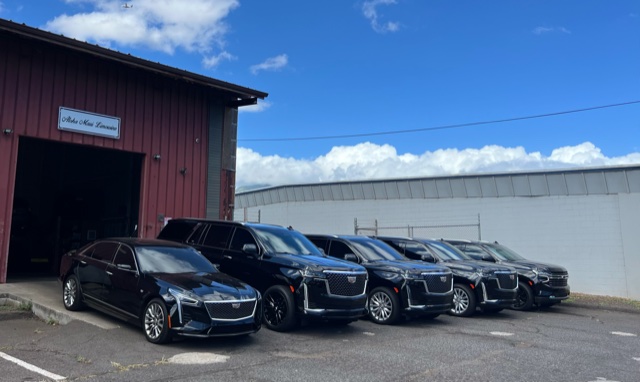 ALOHA MAUI fleet at the yard